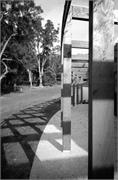Candlebark Library 7